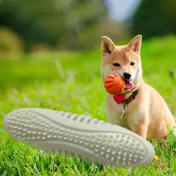 Nontoxic Rubber Chew Toy