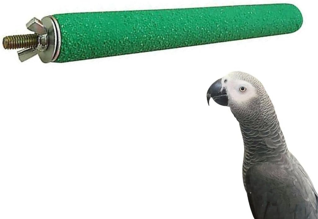 Petsary Sandy Paws Paradise: Parrot Pedicure Perch!