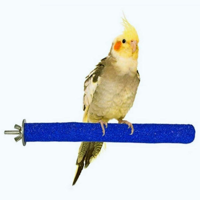 Petsary Sandy Paws Paradise: Parrot Pedicure Perch!