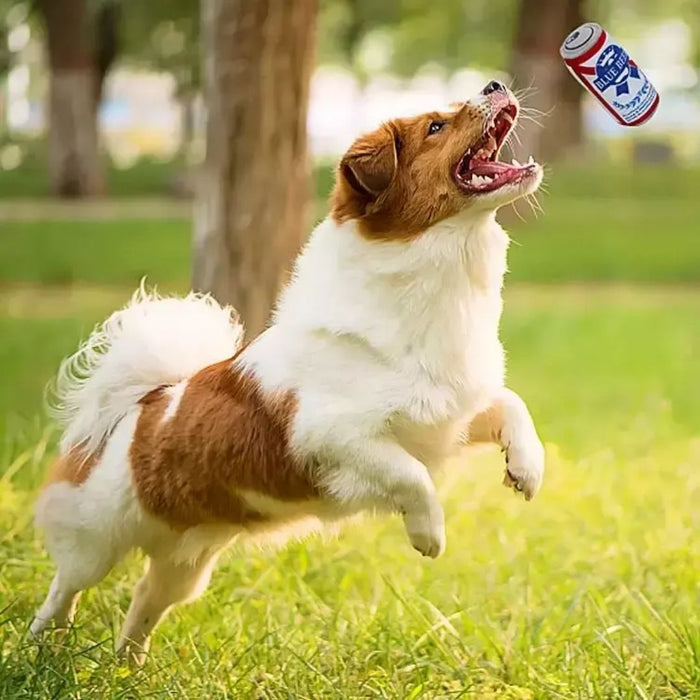 Novetly Plush Squeaky Toys (Beer Can)