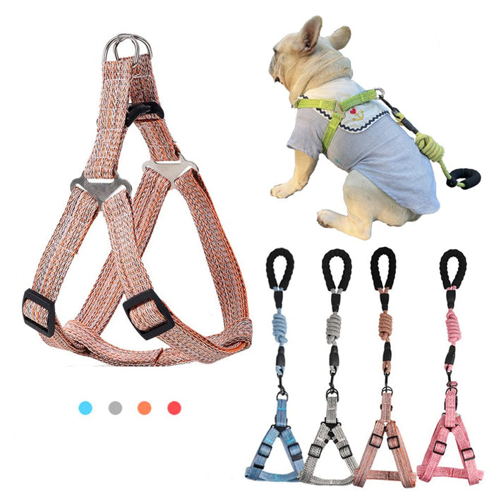 Strut Wag Pet Harness & Lead Set (Light Patterned Orange)