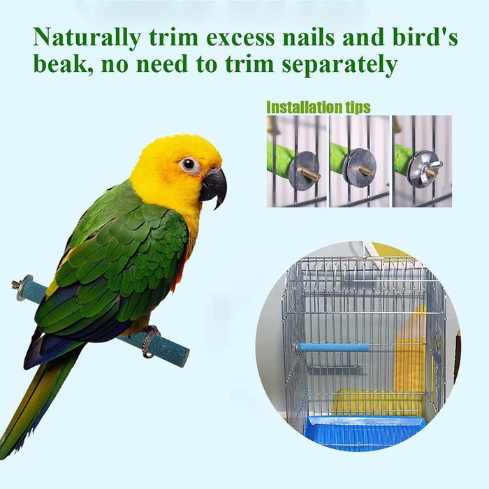Petsary Sandy Paws Paradise: Parrot Pedicure Perch!