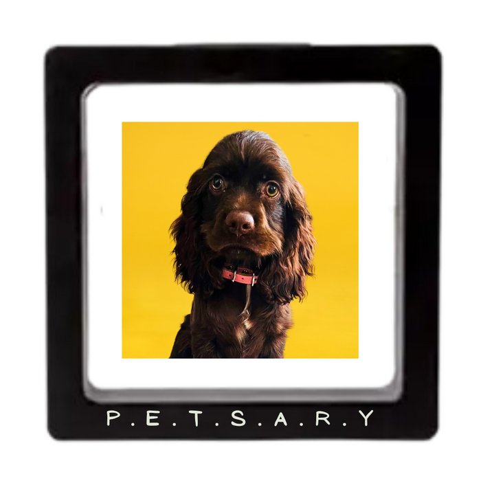 PAWSITIVE VIBES Engraving Pet Tag with a Floating Frame!