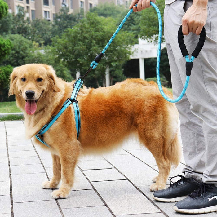 DuoBlue Pet Adventure Set: 2 Matching Harness and Leash Sets