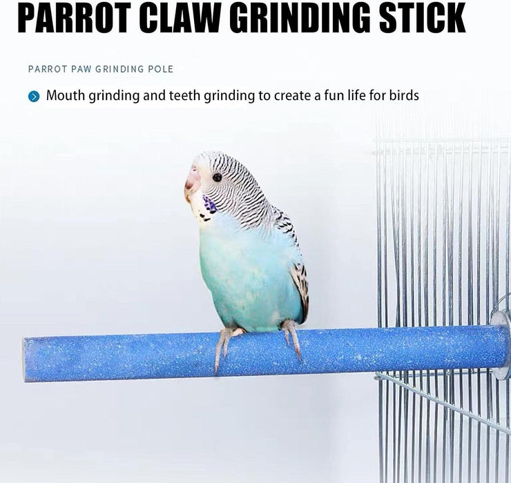 Petsary Sandy Paws Paradise: Parrot Pedicure Perch!