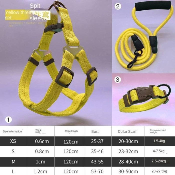 Pawsitively Chic Set of 3: Dog Harness, Collar, and Leash Set! (Black, XS/S/M/L)