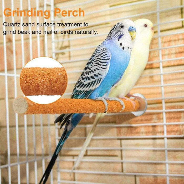 Petsary Sandy Paws Paradise: Parrot Pedicure Perch!