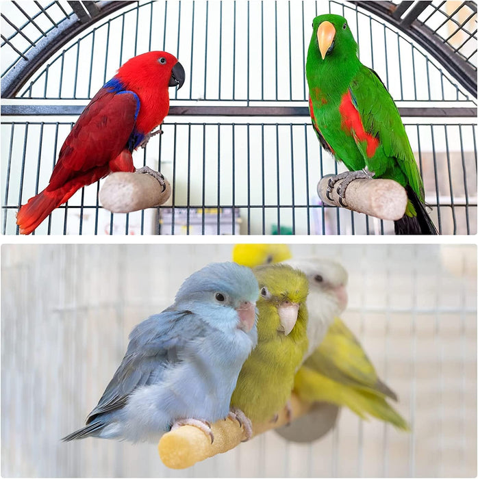 Petsary Sandy Paws Paradise: Parrot Pedicure Perch!