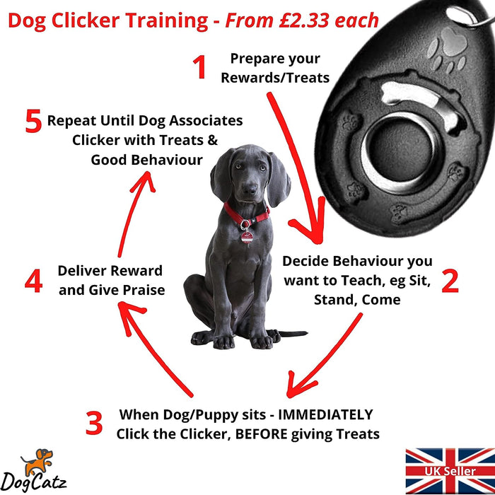 Pawsome Pet Training Clicker (Orange)