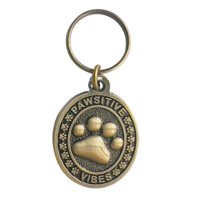 PAWSITIVE VIBES Engraving Pet Tag with a Floating Frame!
