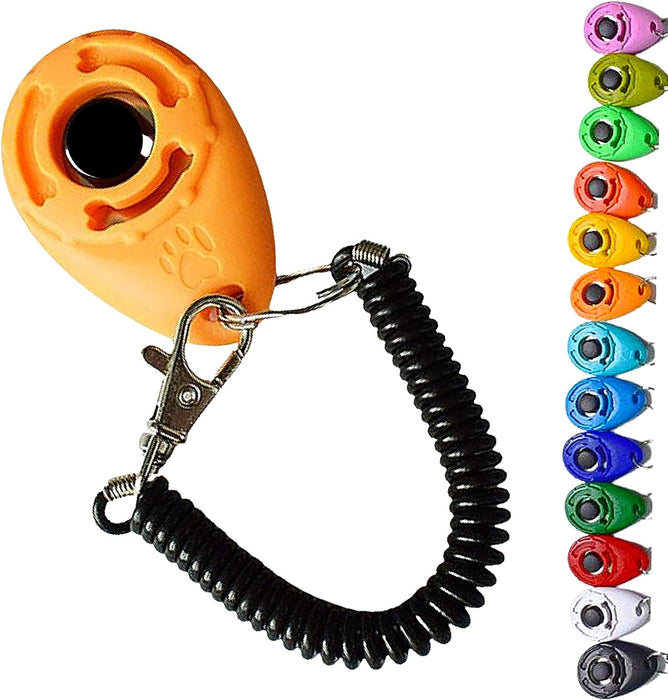 Pawsome Pet Training Clicker (Orange)