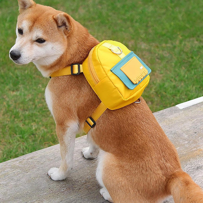 Sunshine Voyage Harness Backpack and Lead Set