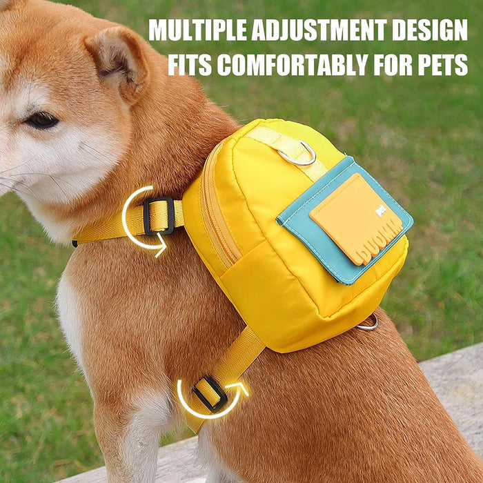 Sunshine Voyage Harness Backpack and Lead Set