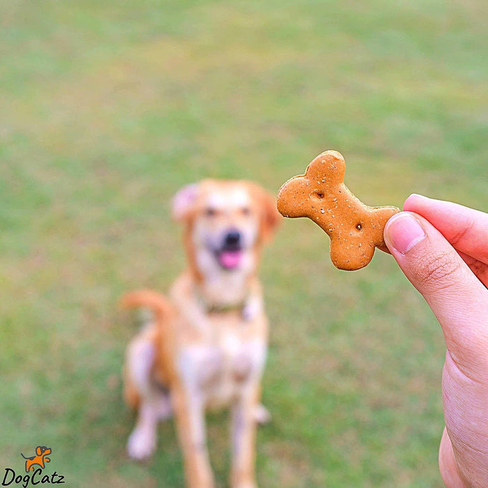 Pawsome Pet Training Clicker (Orange)