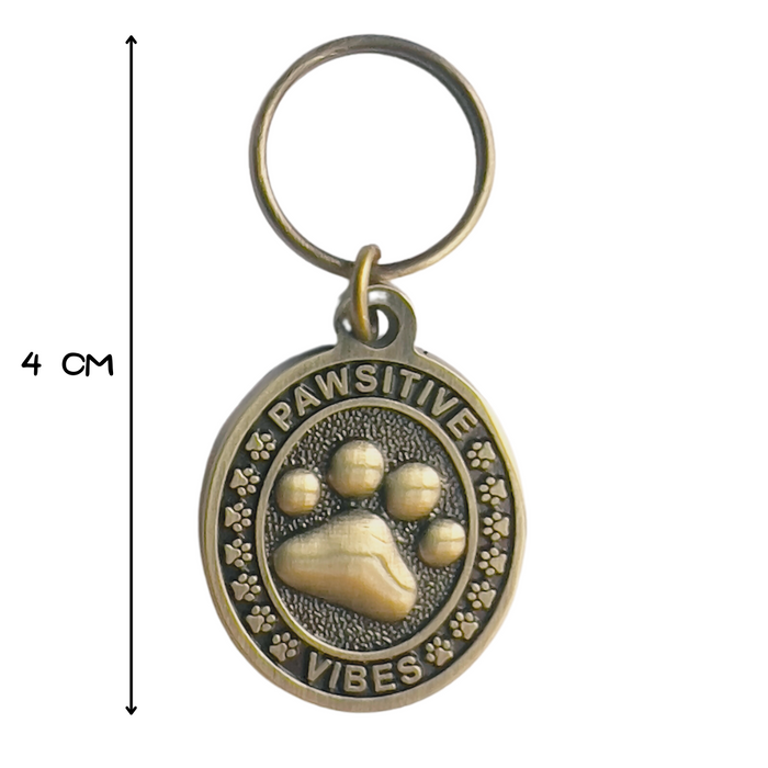 PAWSITIVE VIBES Engraving Pet Tag with a Floating Frame!