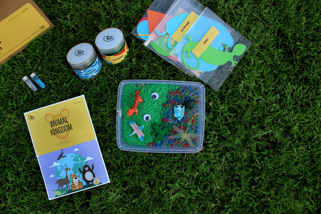 Animal Kingdom Box