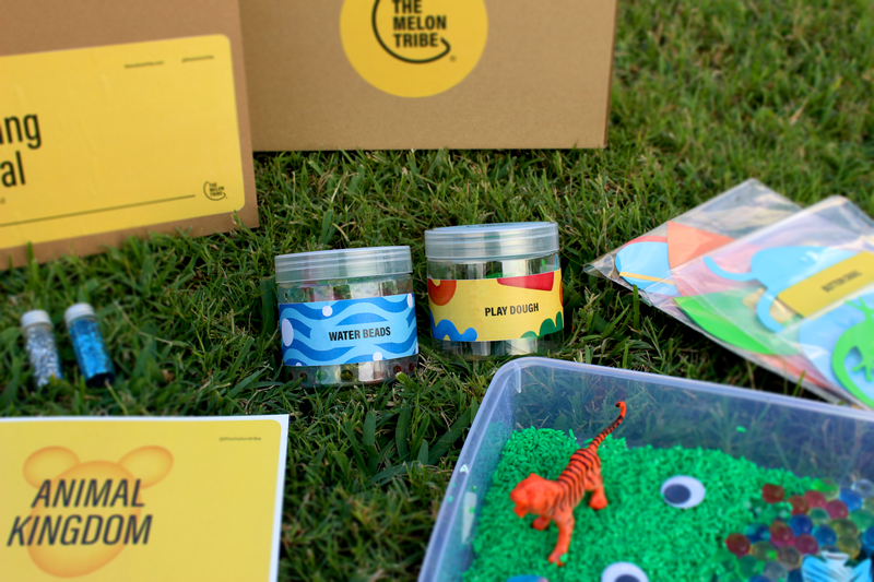 Animal Kingdom Box