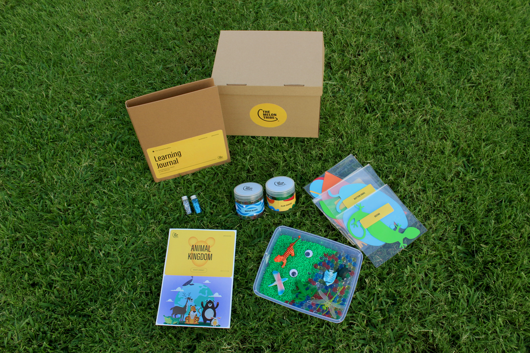 Animal Kingdom Box