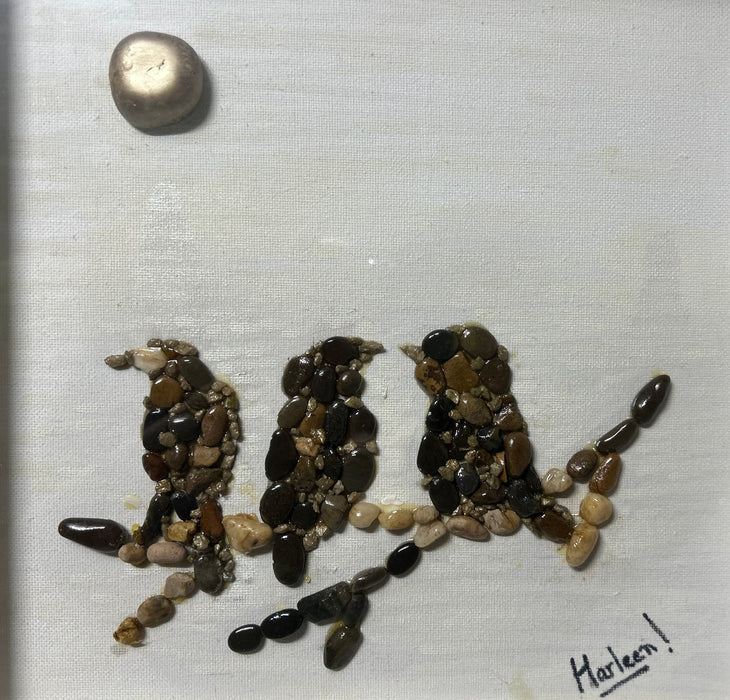 Birds