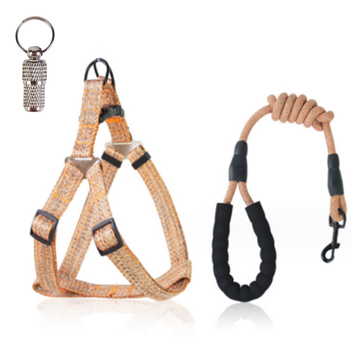 Strut Wag Pet Harness & Lead Set (Light Patterned Orange)