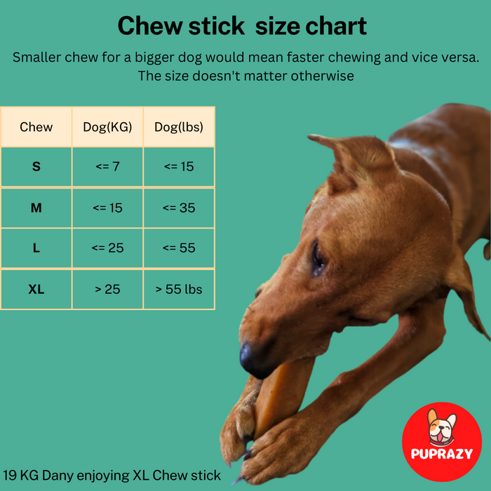 HIMALAYAN HEALTHY DENTAL CHEW BARS FOR DOGS - NATURAL FLAVOR