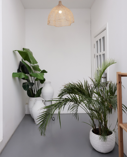 Photo Studio Rental