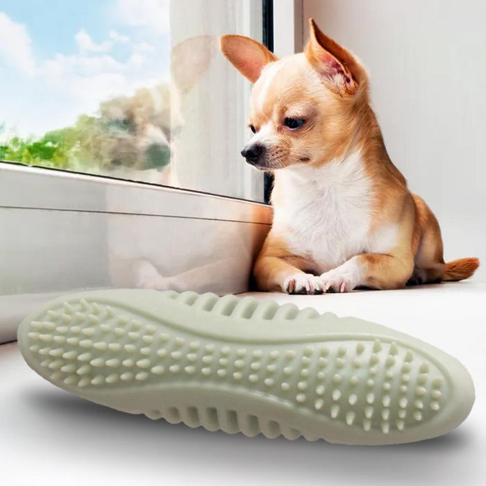Nontoxic Rubber Chew Toy