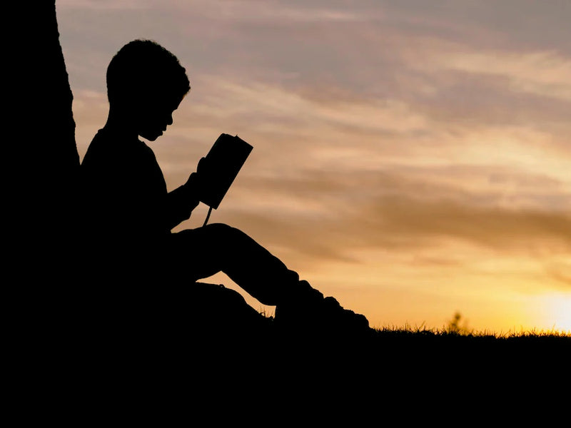 Homeschool Guidance and Support