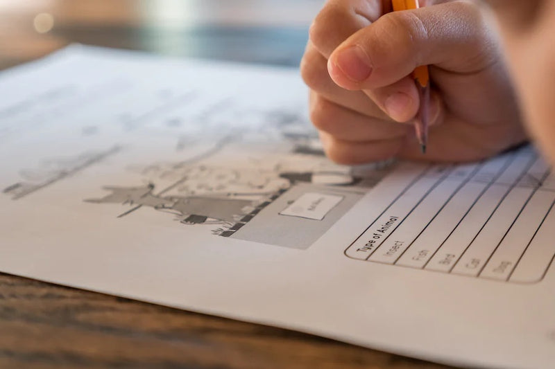 Homeschool Guidance and Support