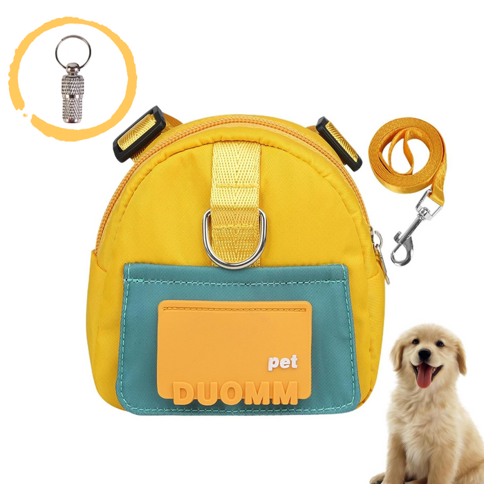 Sunshine Voyage Harness Backpack and Lead Set